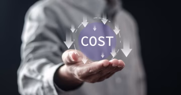 Cost-Effective Bundles of Essential Services